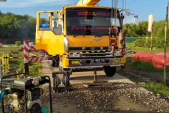 Crane 6